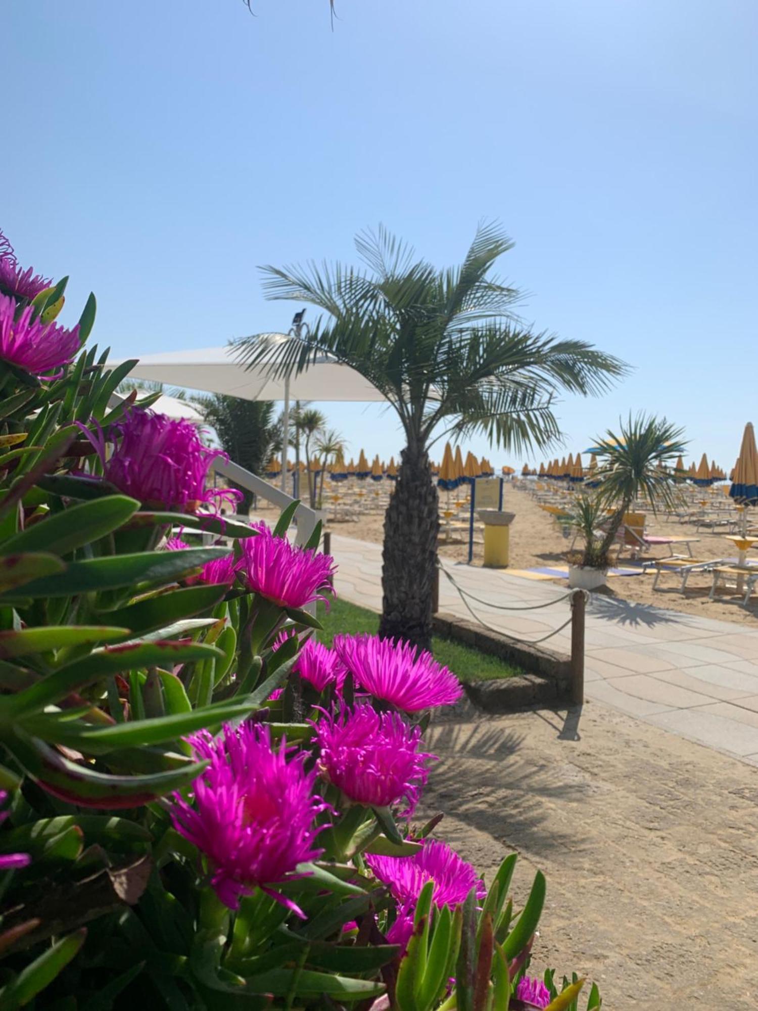 Nizza Frontemare Hotel 3*